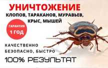 Защита вашего дома или бизнеса! Дезинфекция, дезинсекция и дератизация