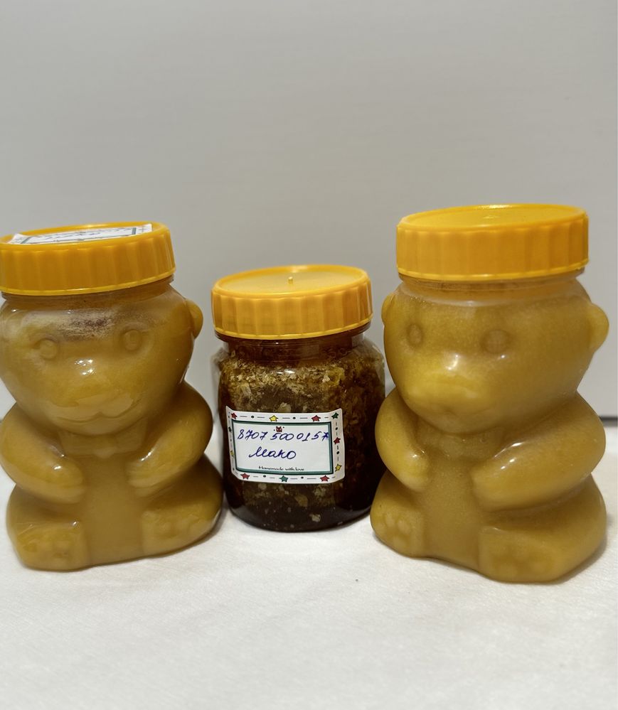 Катон карагайский мед