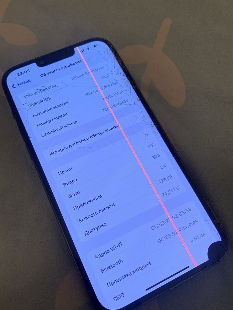 iPhone 13 Pro Max