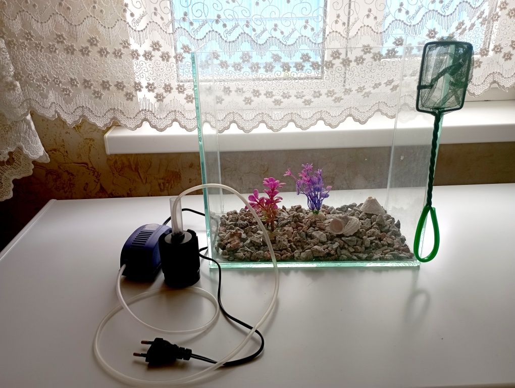 Новый аквариум .