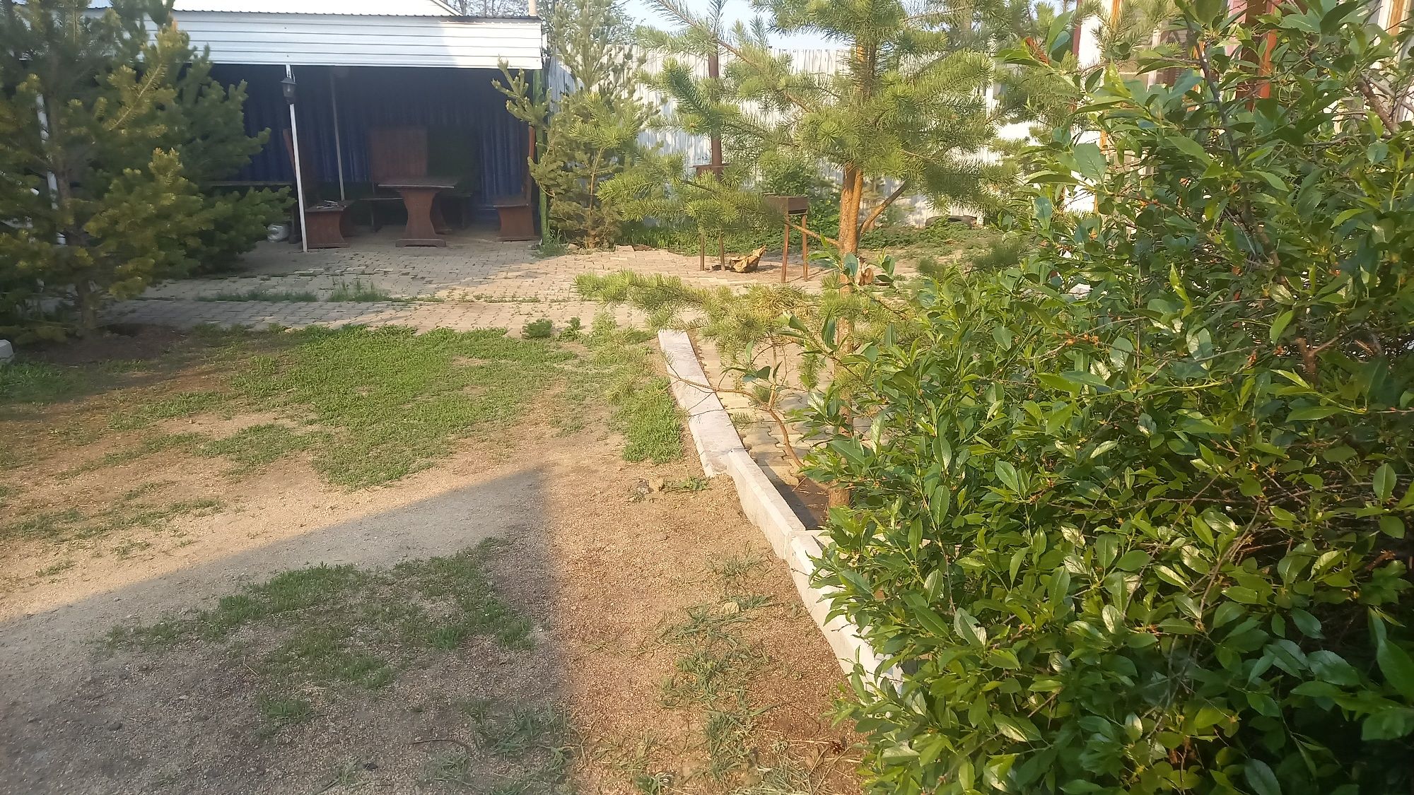 Сдам коттедж 6 комнат  в Боровом    сутки