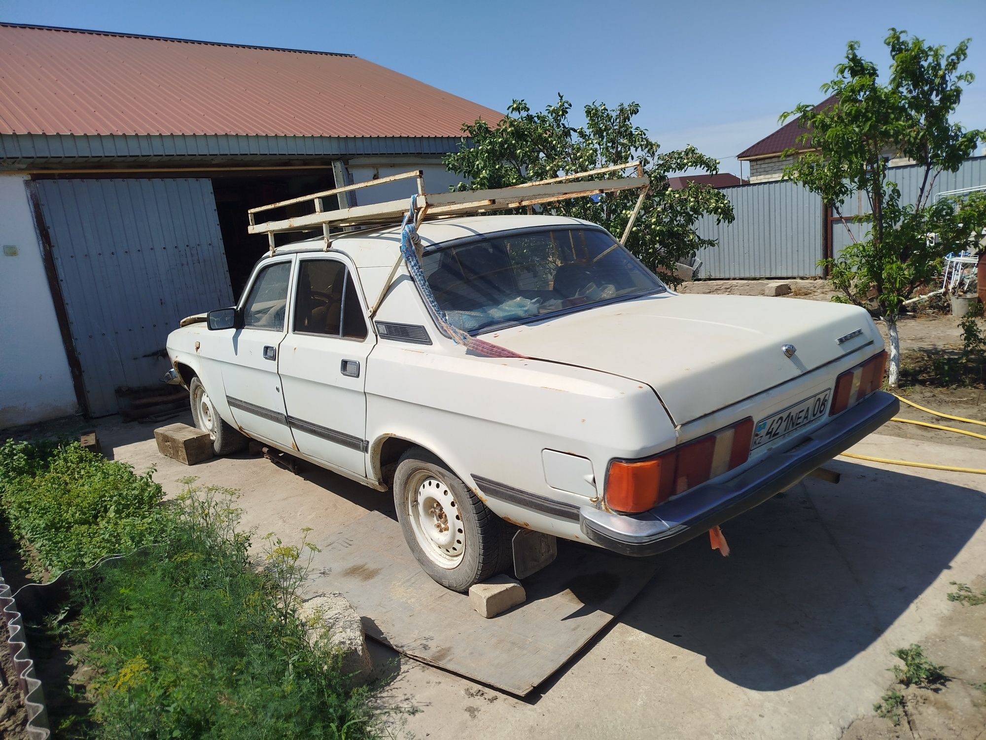 Волга.           3102