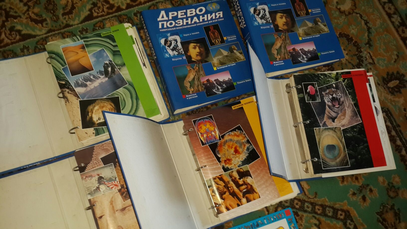 Книга энциклопедия пластинки диски