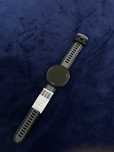 garmin forerunner 165
