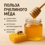 Алтайский мед от производителя (Алтай ВКО)