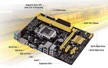 Материнская плата asus h81m-k
