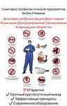 дезинфекция дезинсекция дератизация таракан кандала клоп муравьи