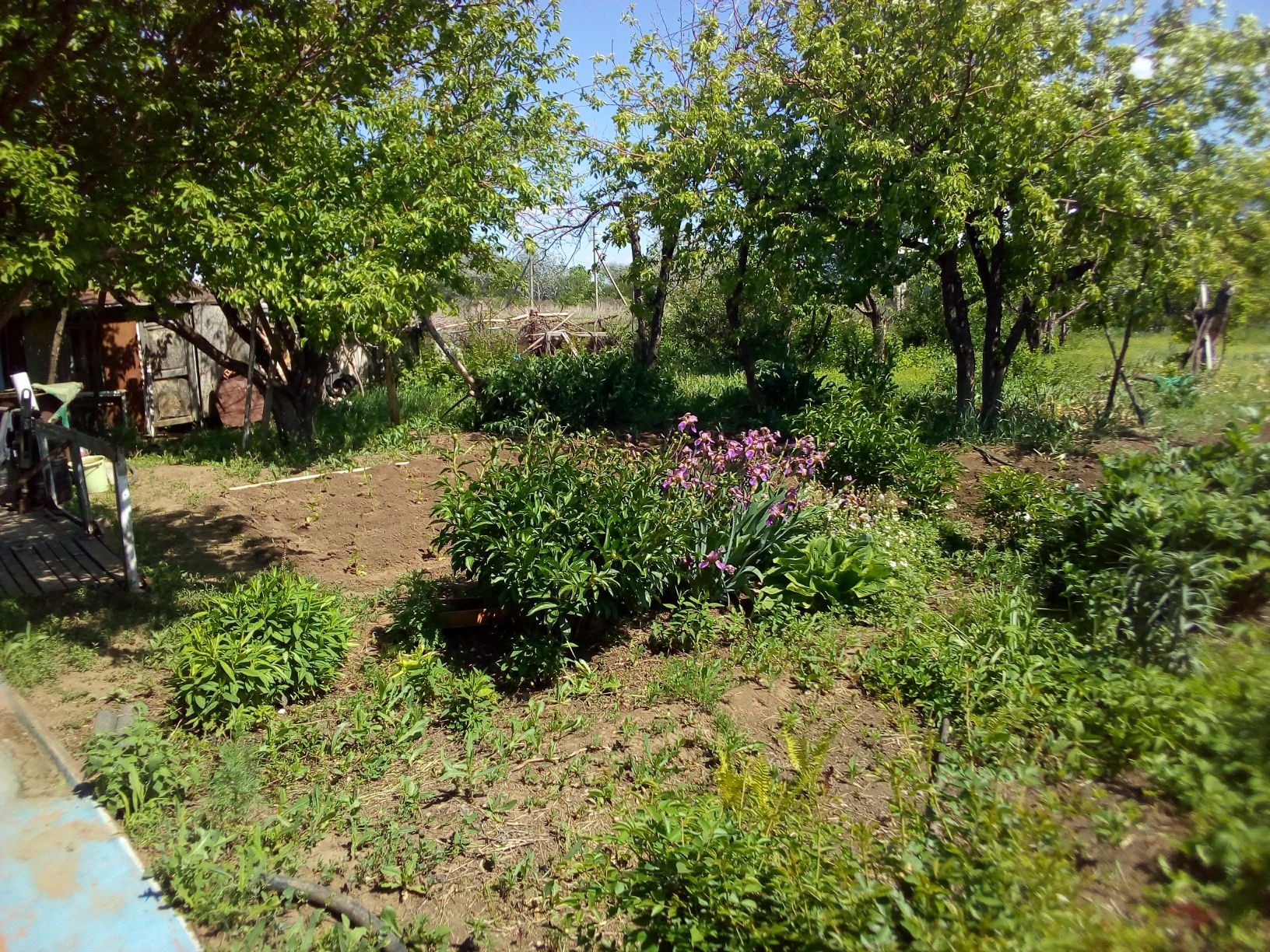 Продается дом на участке