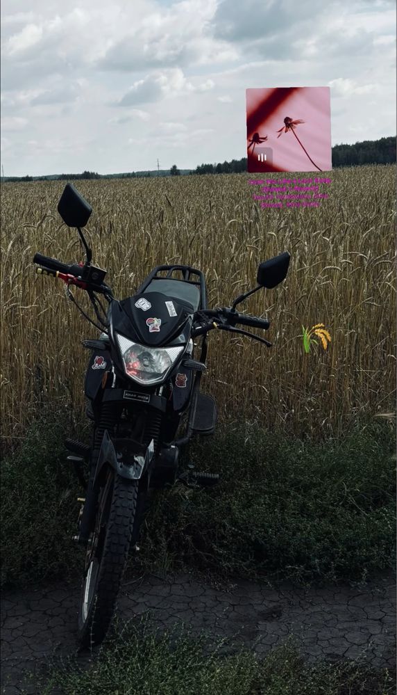 продам альфу rs15