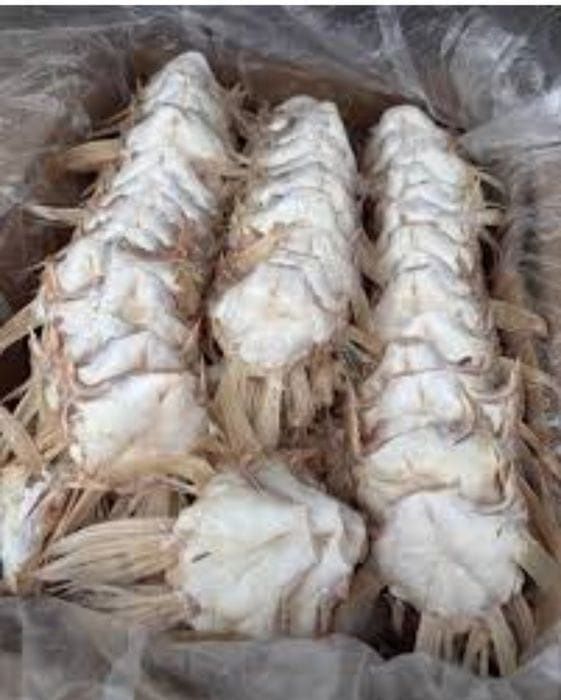 Плавники судака крупные и мелкие
