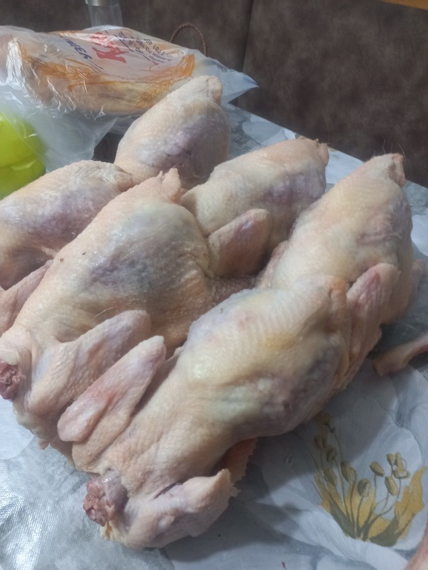 Куры бульенные мясо(домашние)