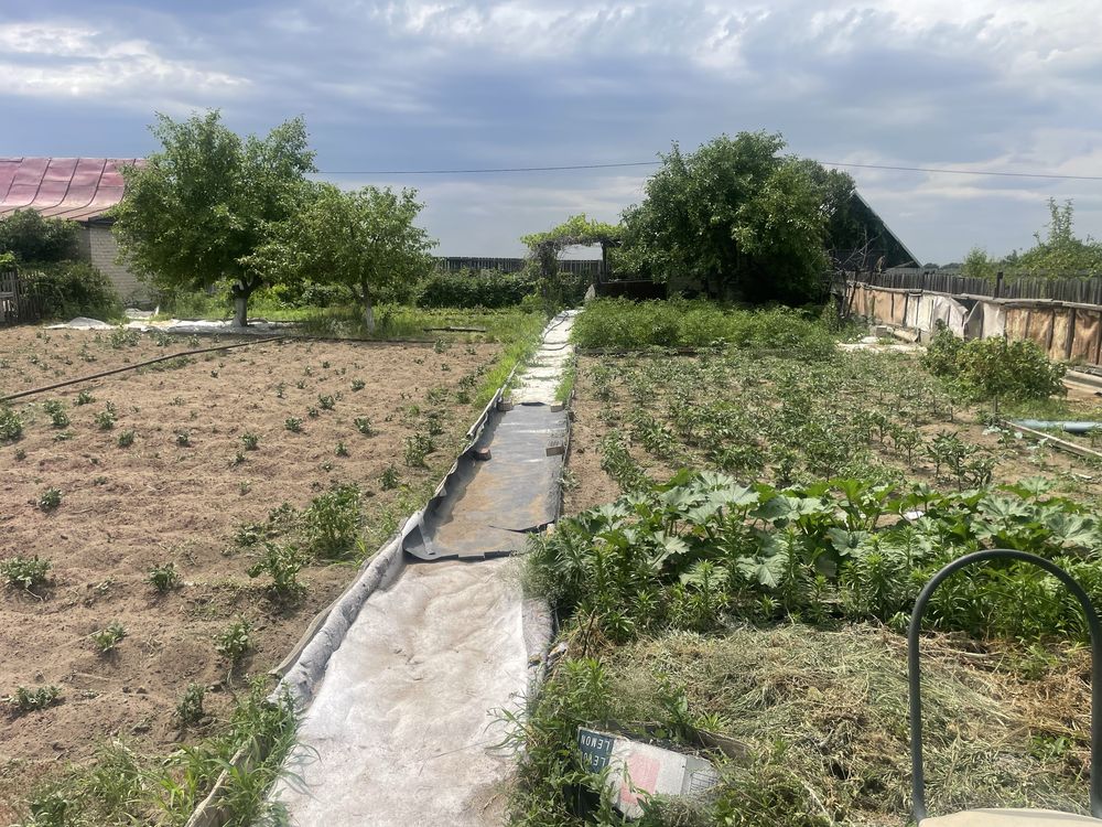 Продам два дачных участка одна 9 сотак вторая 6 сотак.