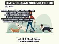 выгул собак в турксибском районе