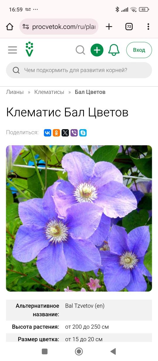 Продам Цветок Климатис