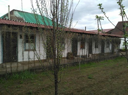 Аренда квартиры 1 комнатные с прихожкой и двух комнатная