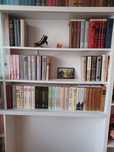 Книги из домашней библиотеки