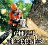 Спил деревьев с вывозом