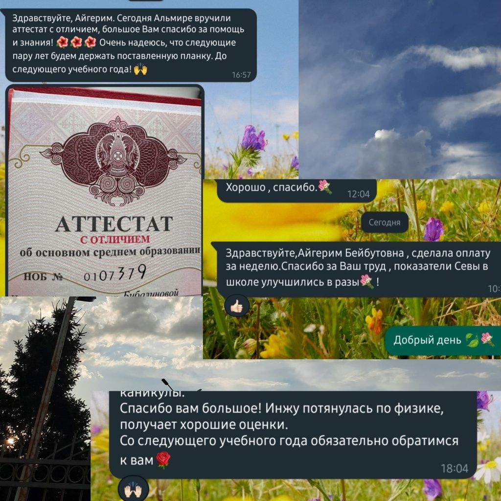 Репетитор Физики, Алгебры и Геометрии