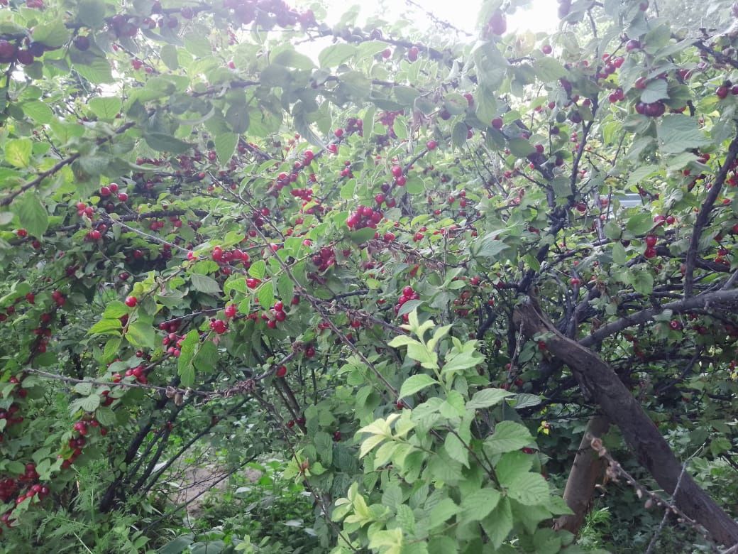 срочно продается дом в карасайском районе