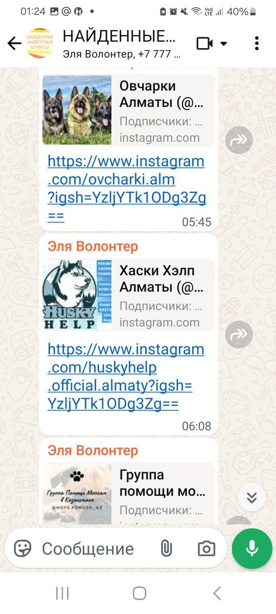 Потерянные найденные породистые дворняжки щеночки кошечки котики котят