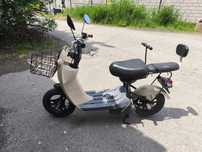 Suzuki Choi Nori