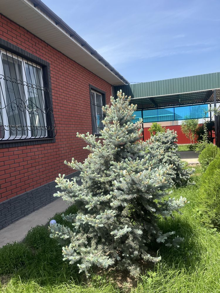 Продам дом в 20 км от Алматы  в Каскелене