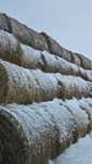 Продам рулоны(300 кг) разнотравия..
