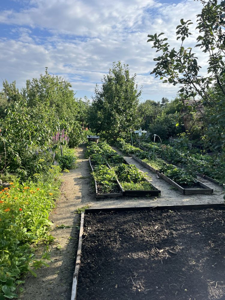 Продам дачу 10 соток