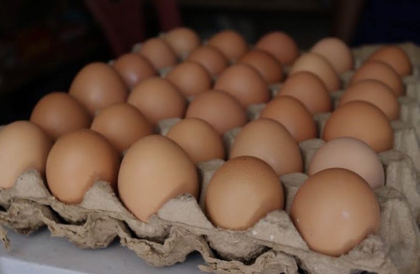 Домашние куриные яйца