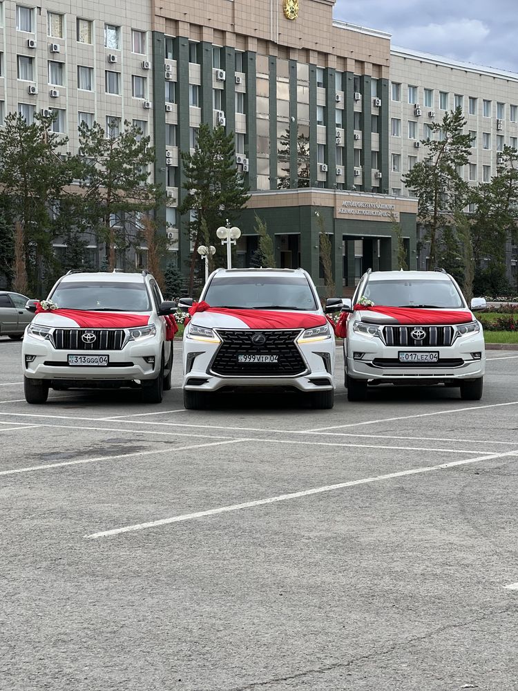 Кортеж Выписка Роддом Трансфер Аренда Авто Прокат Картеж Гулянка Той