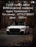 Сухой туман для машины