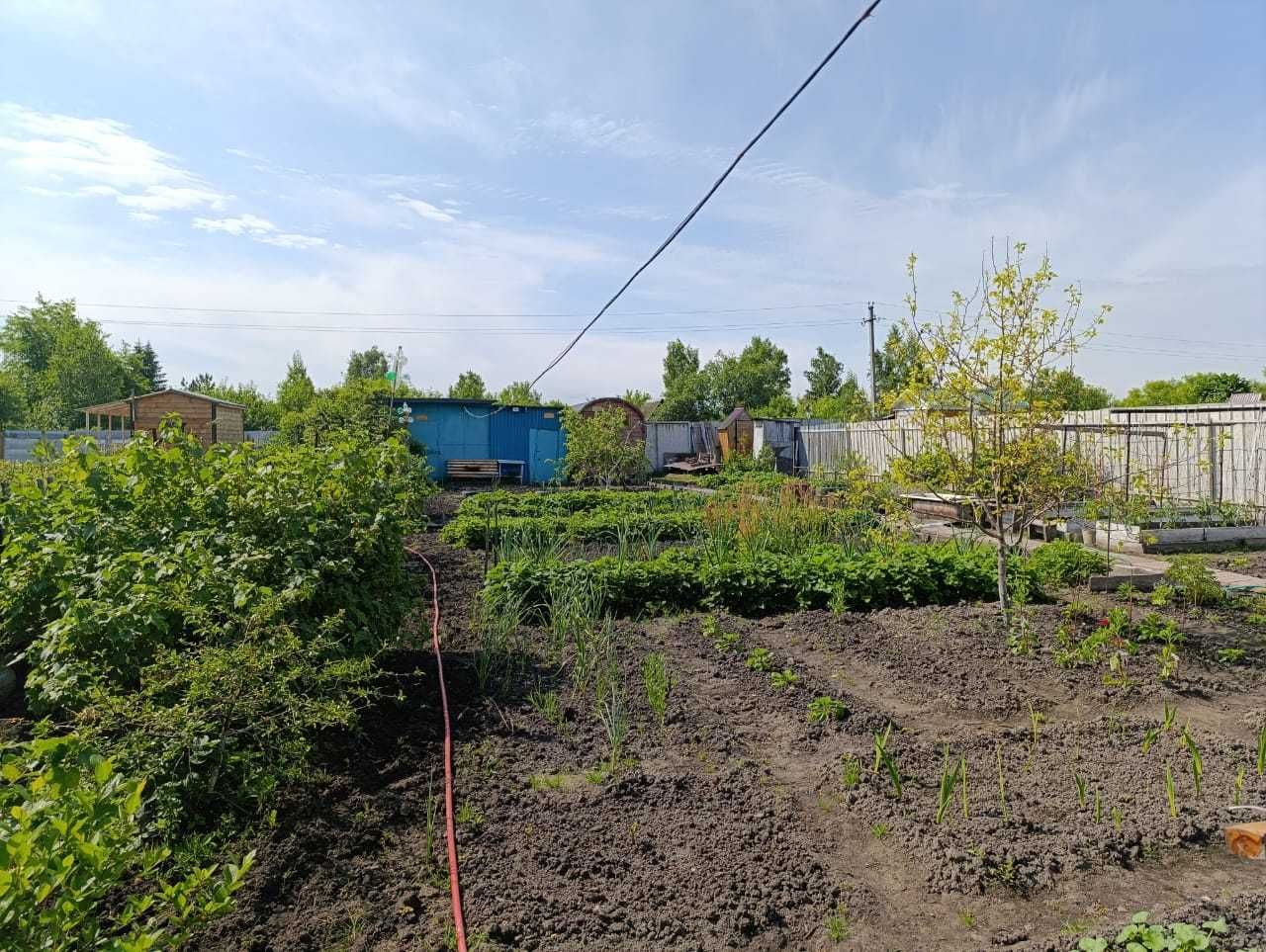Продам Дачу Мечты в ПК СТ Борки