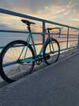 Fixed gear Ardently