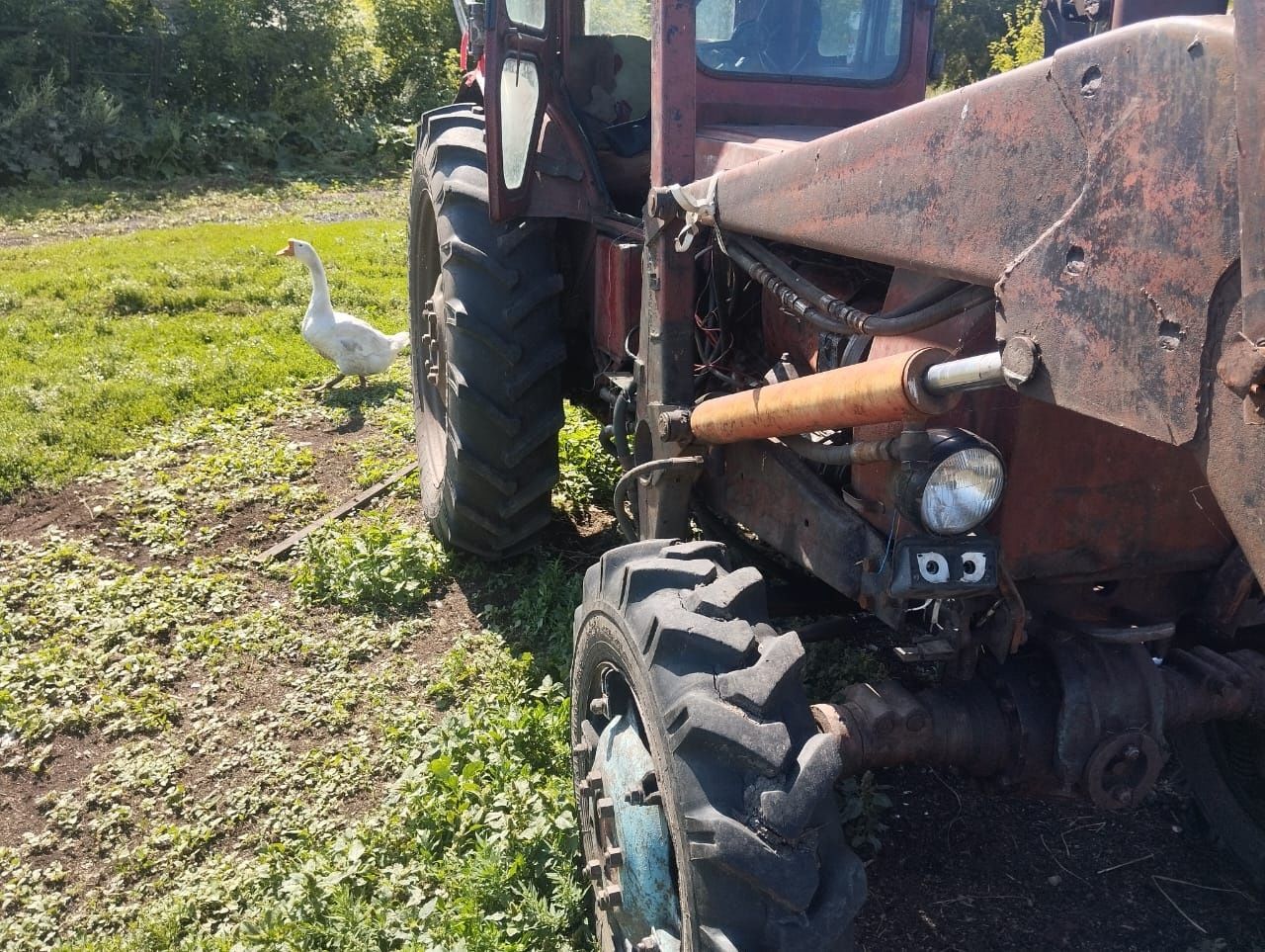 Продам т40 с передком можно обмен на крс и Баранов