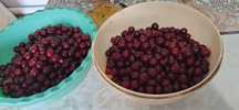 Продам вишни вкусные