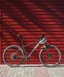 Cannondale m trail 5