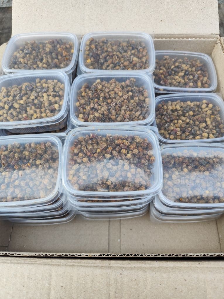 Продам пергу пчелиную