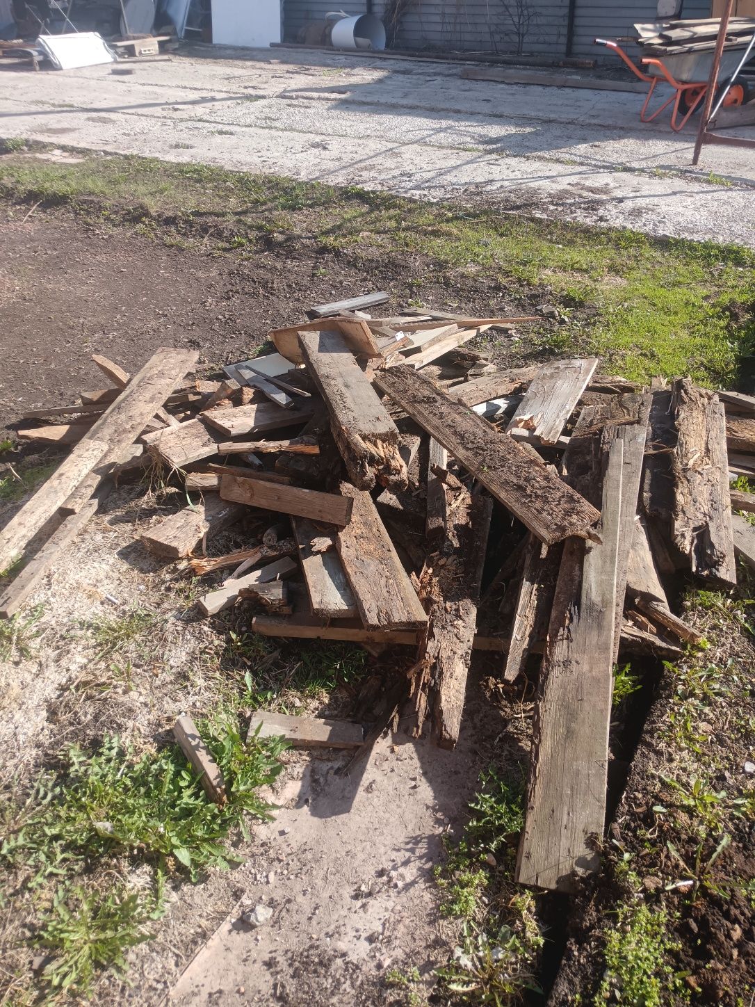 Отынга агаштар беріледі тегін