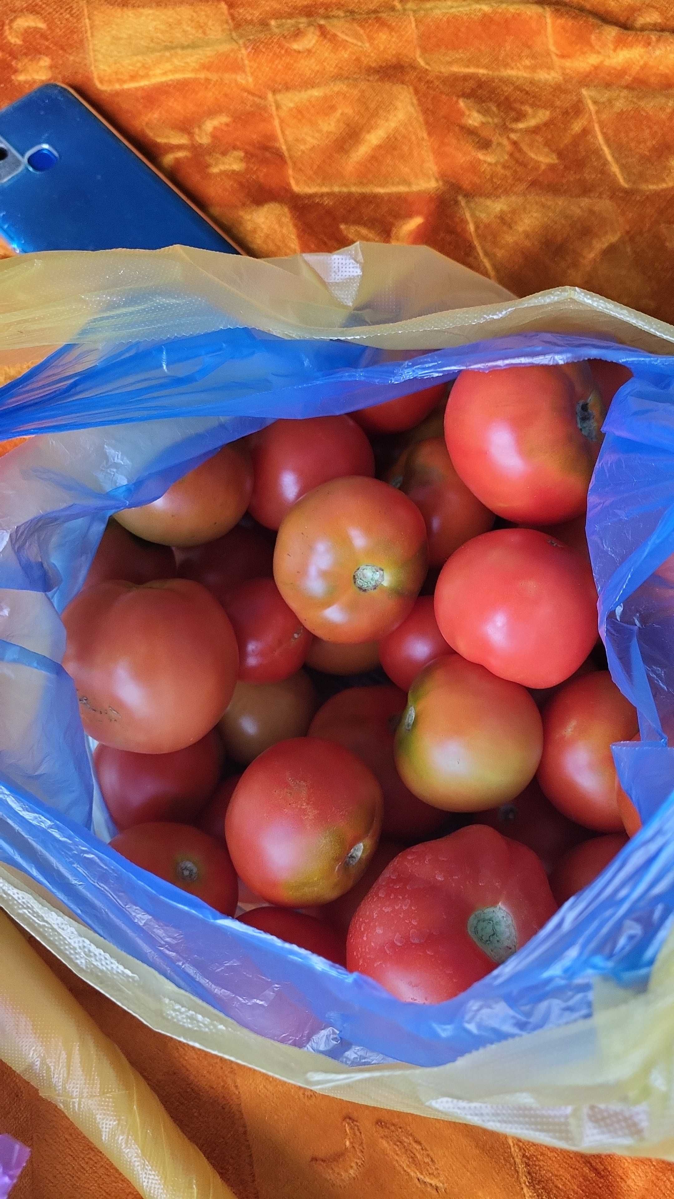 Продам помидоры свежие дачные