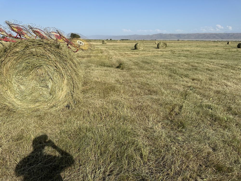 Рулон шөп сатылады продам сено в рулонах