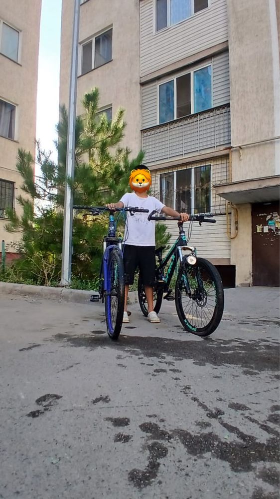 Кышкентай велик