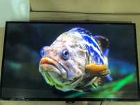 Телевизор Philips 43