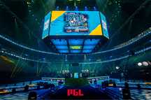 Продам билет PGL