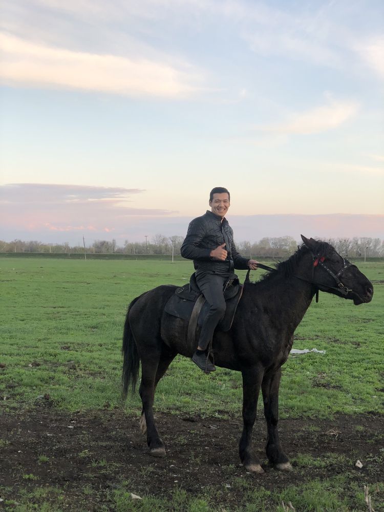 1л Табиғи саумал, кымыз,кумыс,жатып ішуге шақырамыз,база отдыха