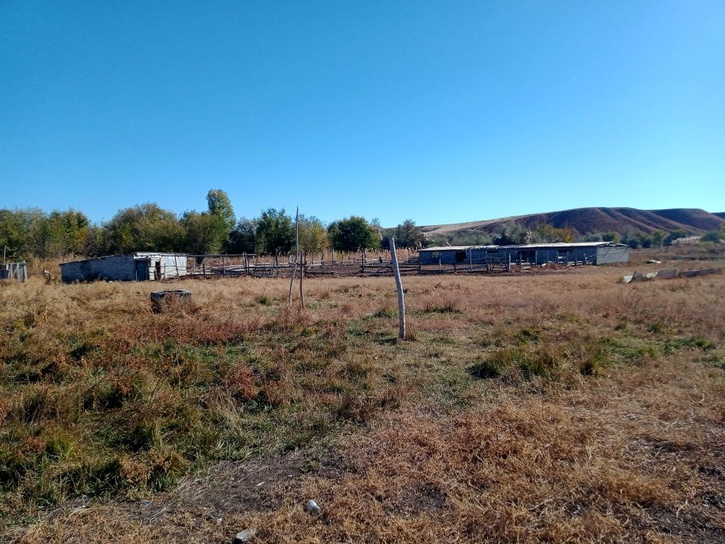 Продам К/Х 230 га