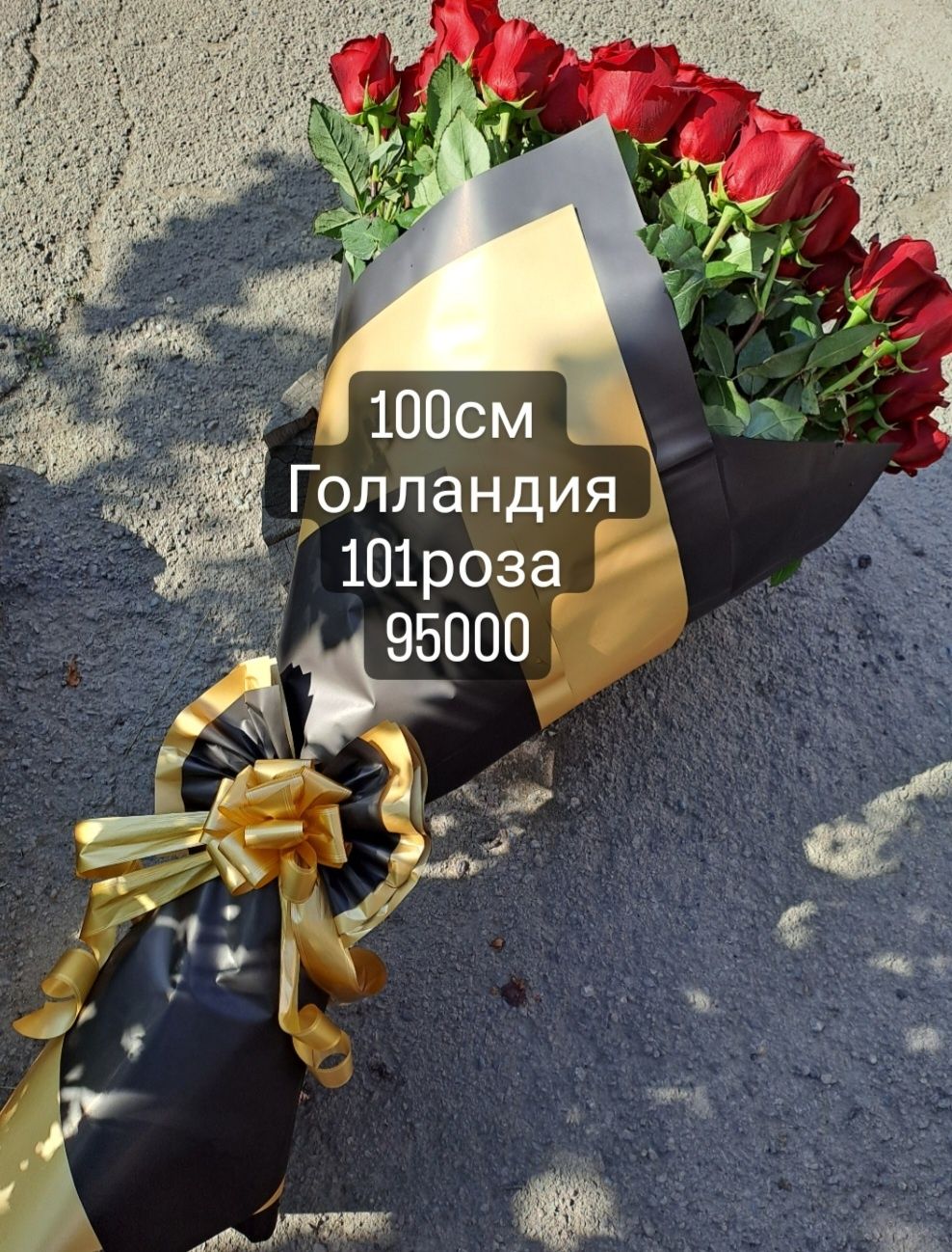 Голландские розы, метровые розы