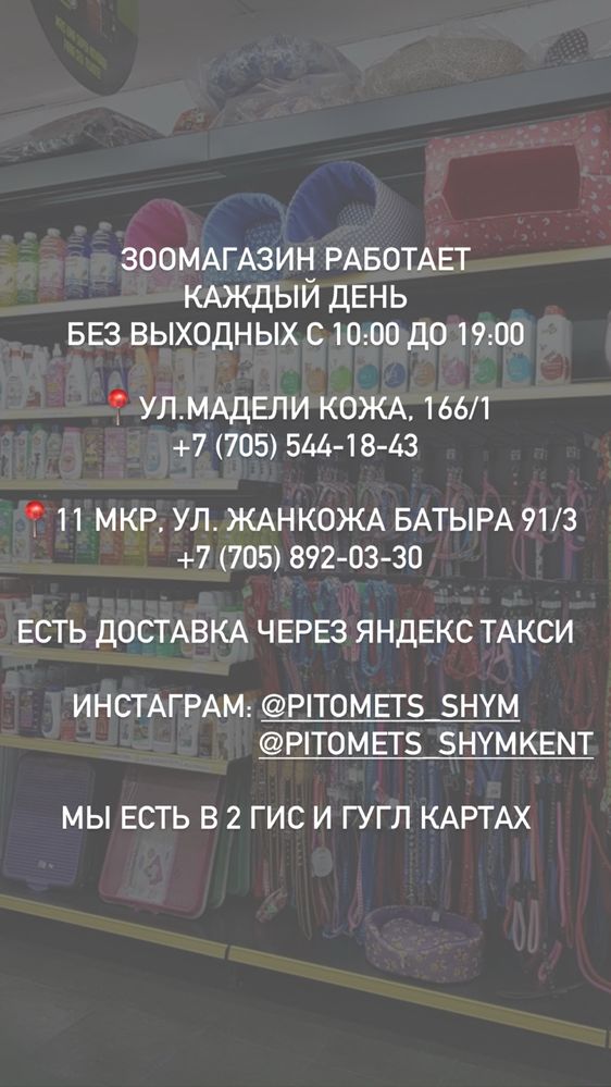 Авиабокс переноска для животных