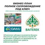 Бизнес-план | бизнес презентация | ТЭО | грант | Даму | Astana Hub |