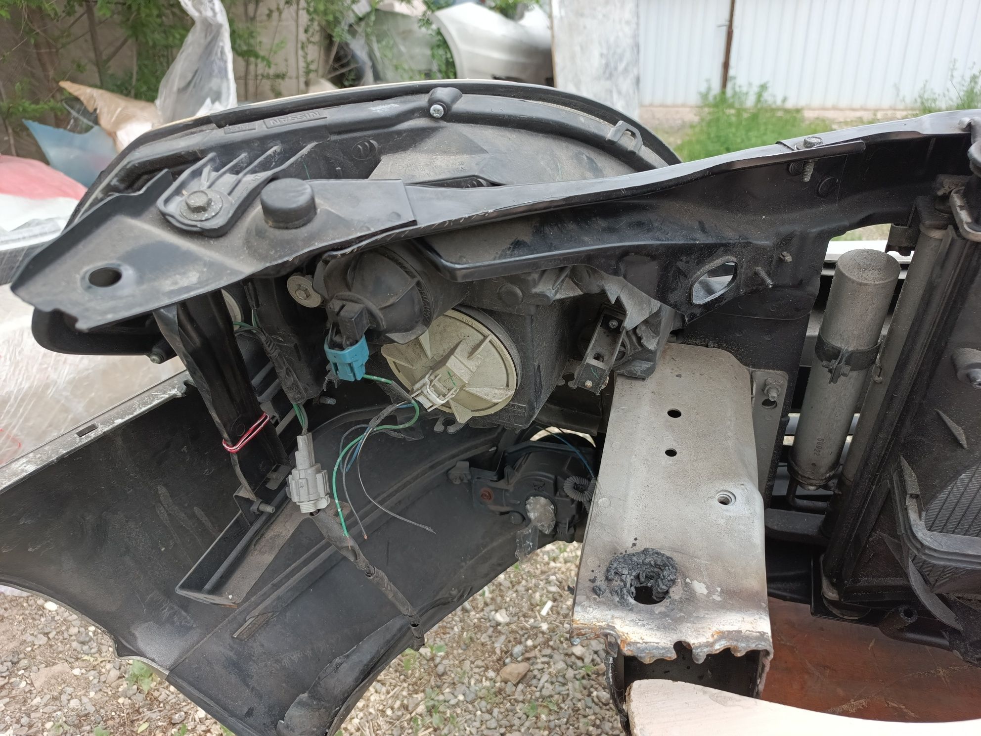 Nissan Tiana Nosecut