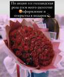 Розы голландия 101 шт